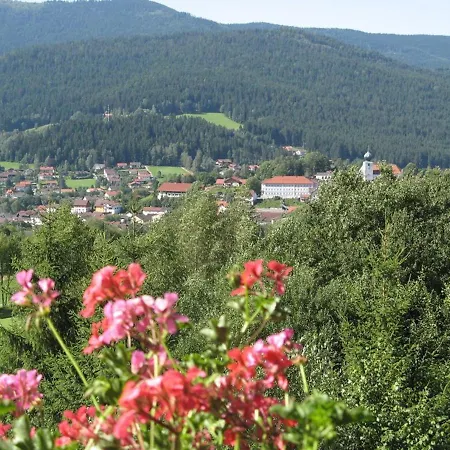 Appartementhaus Im Himmelreich Lam Exterior photo